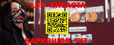 spice Рыбинск