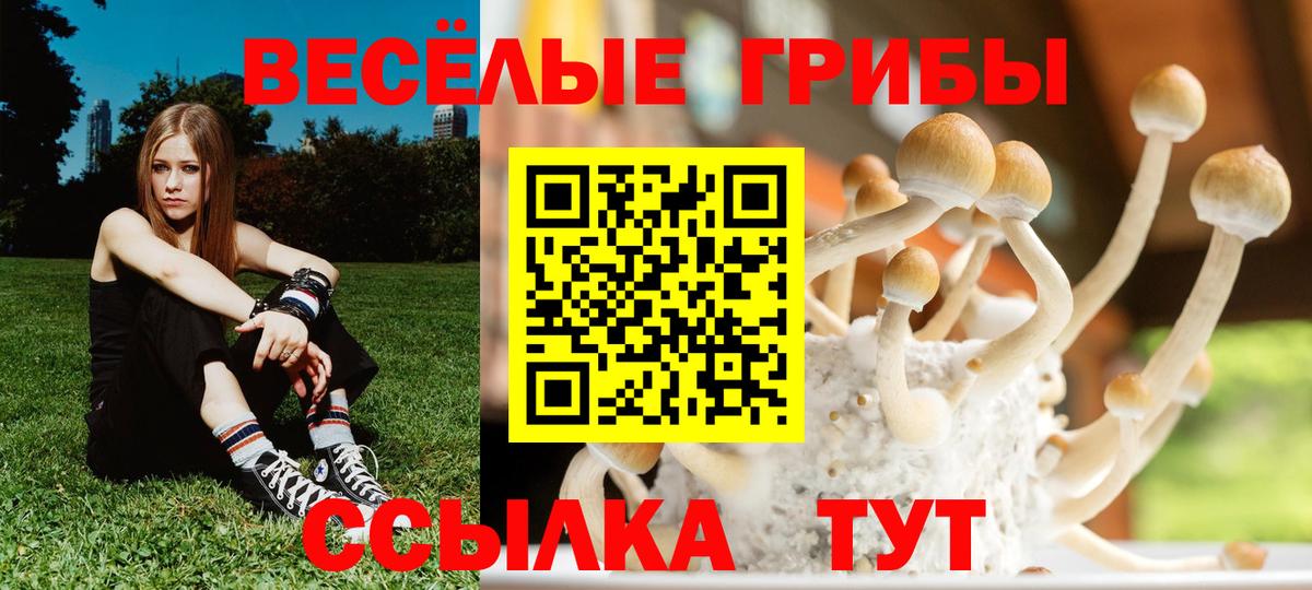 Нижний Тагил  Псилоцибиновые грибы мухоморы  Псилоцибиновые грибы GOLDEN TEACHER  Вход с VPN 